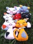 Cats23